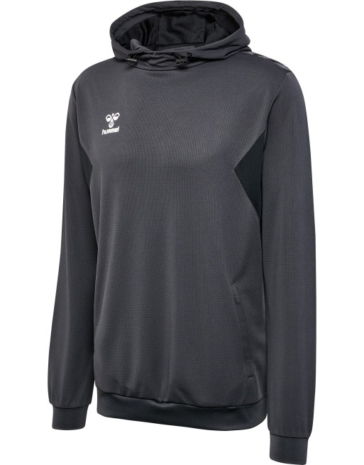 hmlAUTHENTIC PL HOODIE