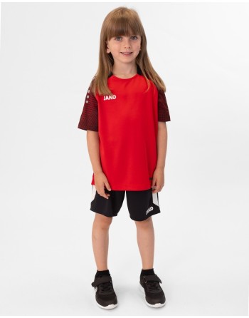 T-Shirt Performance / Polyester-Micro-Mesh